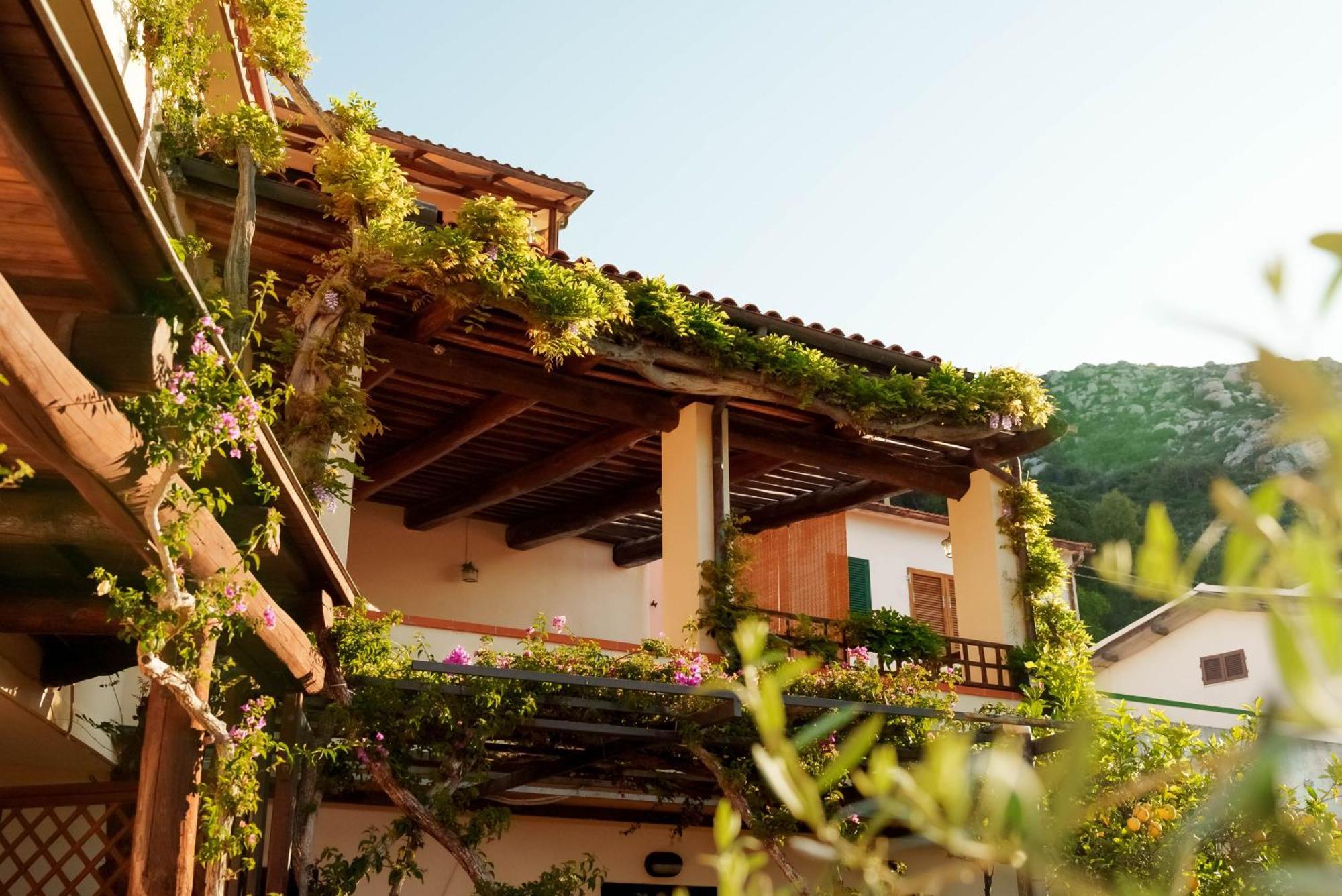 Hotel Galli - Wellness & Spa 费托瓦亚 外观 照片